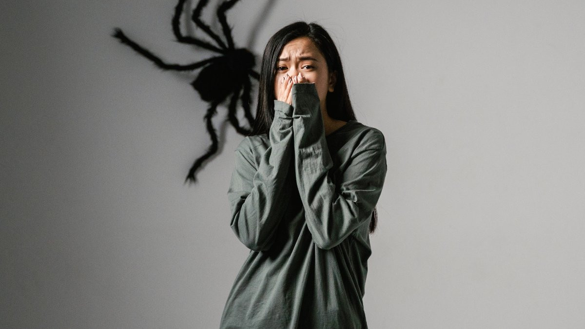 what is paranoid personality disorder