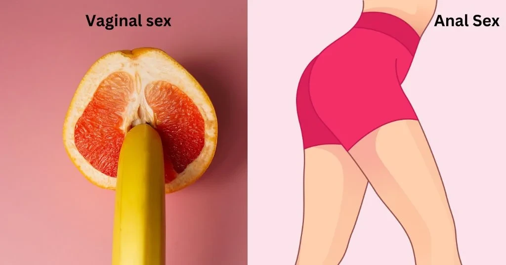 Difference Between Anal and Vaginal sex