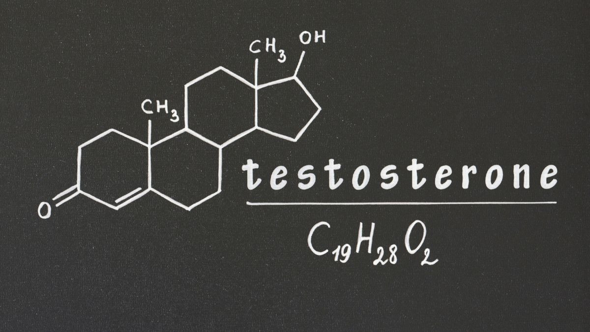 does alcohol lower testosterone in boys